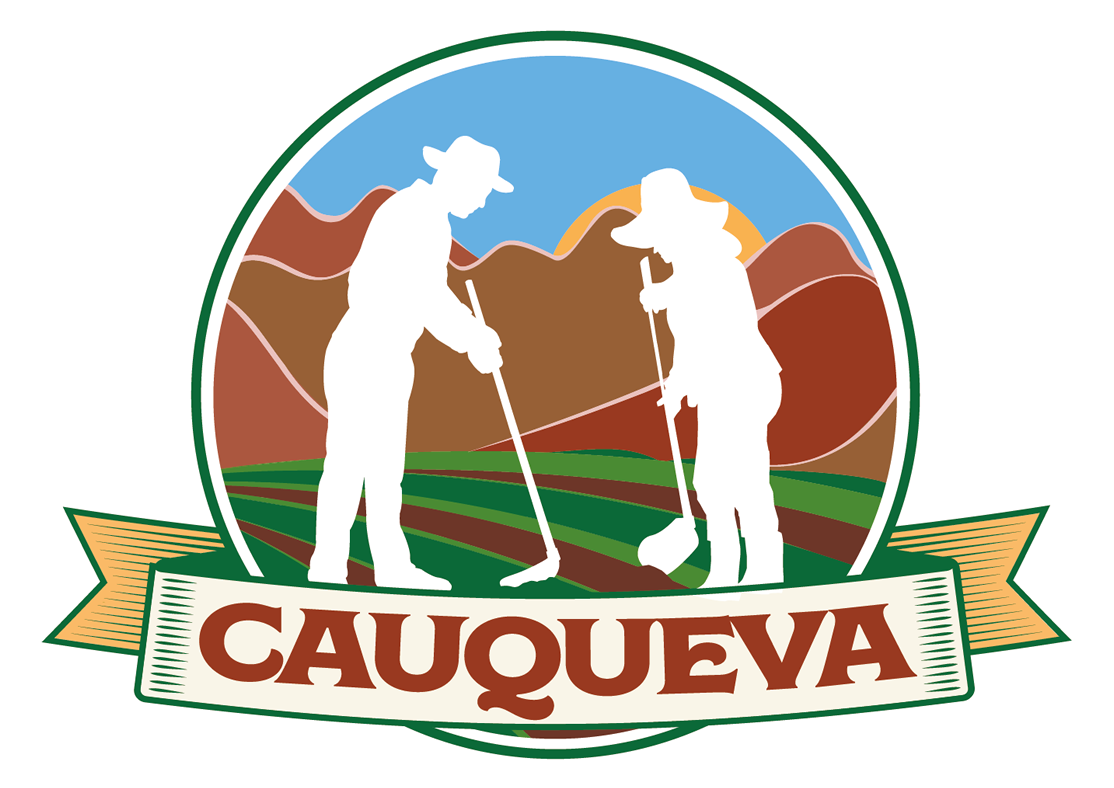 Logo CAUQUEVA